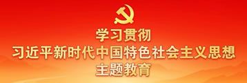 学习贯彻席大大时代中国特色社会主义思想主题教育